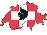 Link zum Swiss Skogkatt Norwegische Waldkatzen der Schweiz