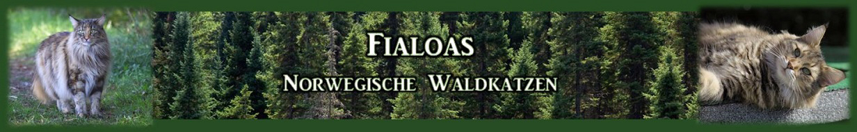 Fialoas NFO Banner